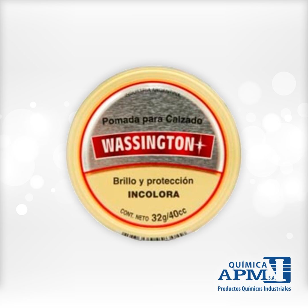 WASSINGTON POMADA X 30 G INCOLORA